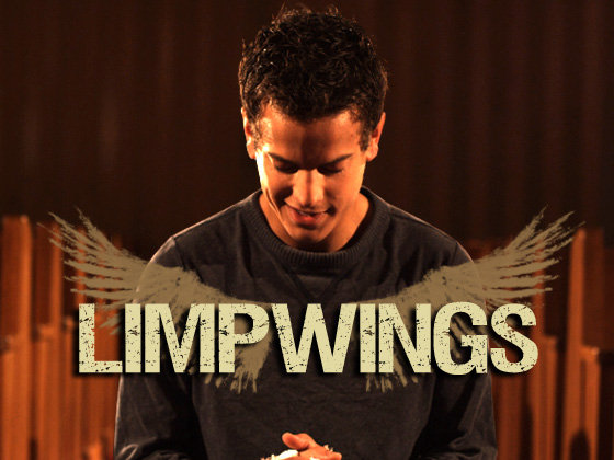 Limpwings2